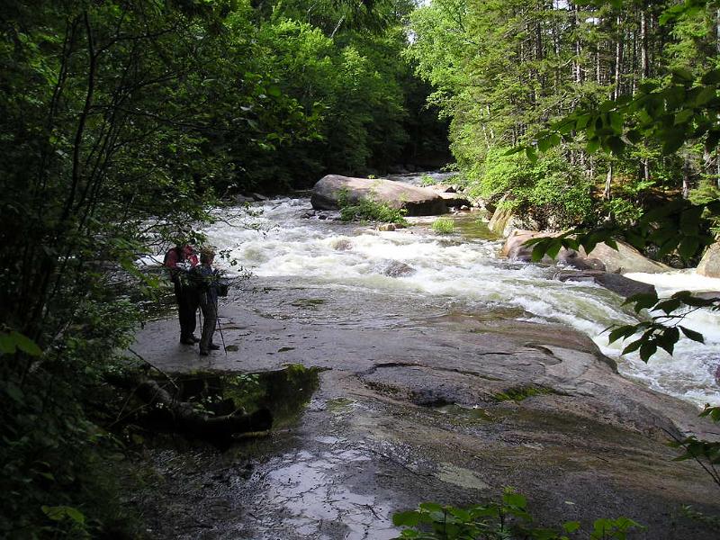 PemiBridgeHike (34).JPG - On our way back to the trailhead we decided to stop at the Franconia Falls.